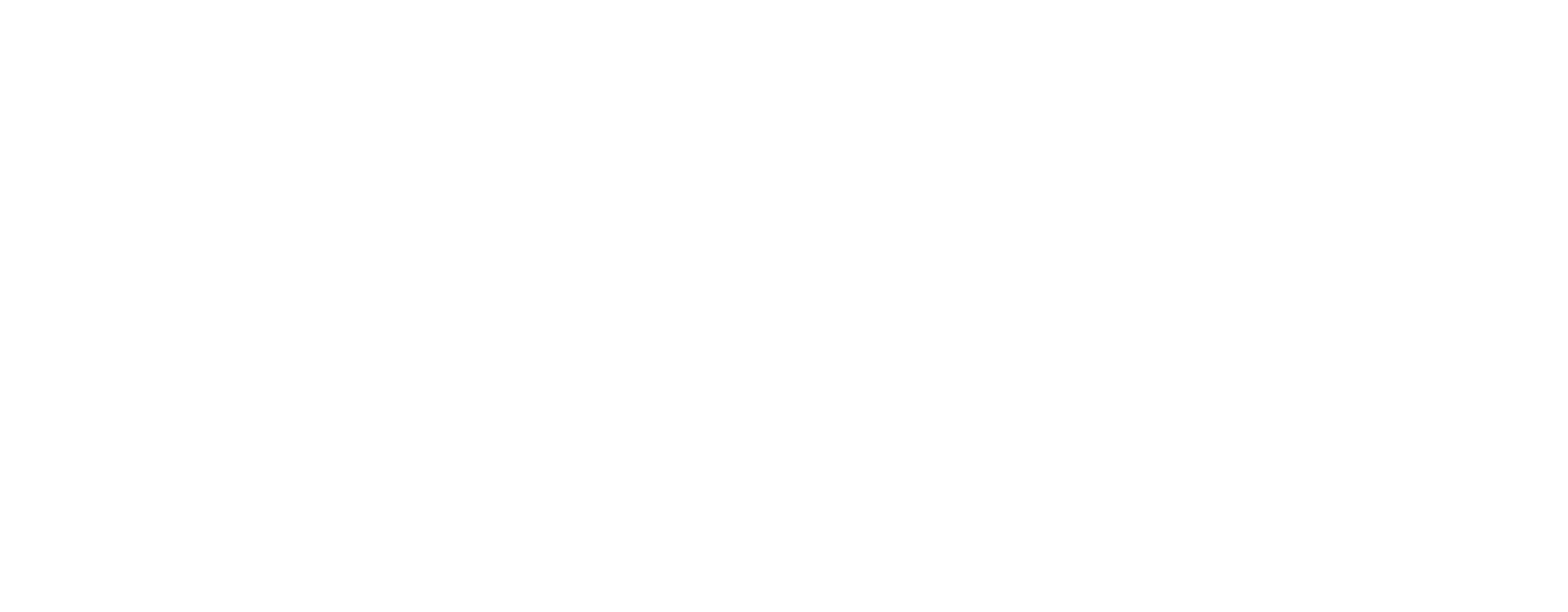 Singularity Consulting